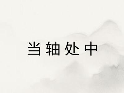 当轴处中