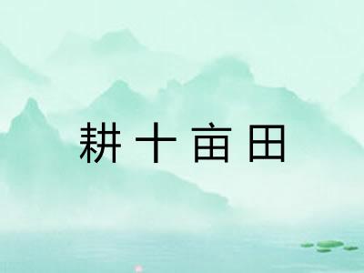 耕十亩田 耕十亩田