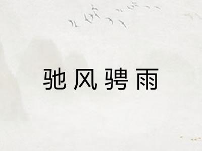 驰风骋雨 驰风骋雨