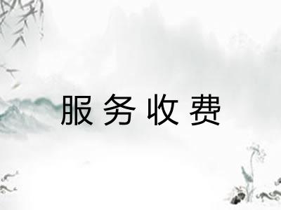 服务收费 服务收费