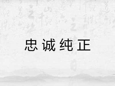 忠诚纯正 忠诚纯正