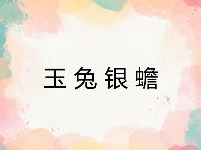 玉兔银蟾 玉兔银蟾