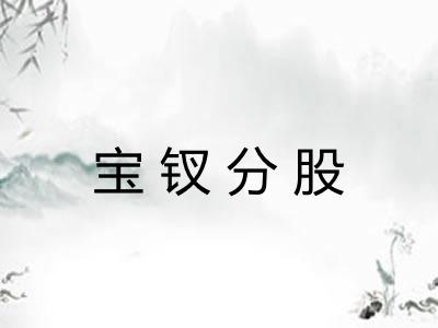 宝钗分股 宝钗分股