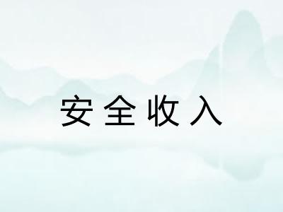 安全收入