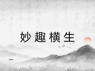 妙趣横生 妙趣横生