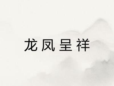 龙凤呈祥 龙凤呈祥
