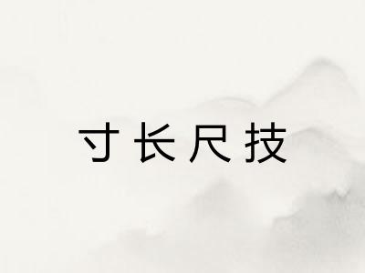 寸长尺技 寸长尺技