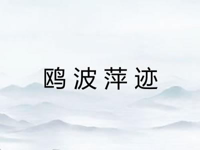鸥波萍迹