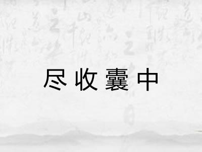 尽收囊中 尽收囊中