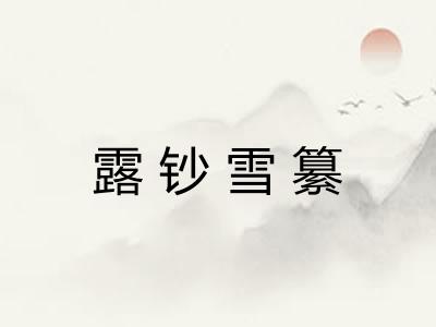 露钞雪纂 露钞雪纂