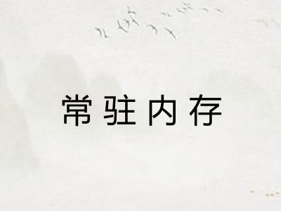 常驻内存 常驻内存