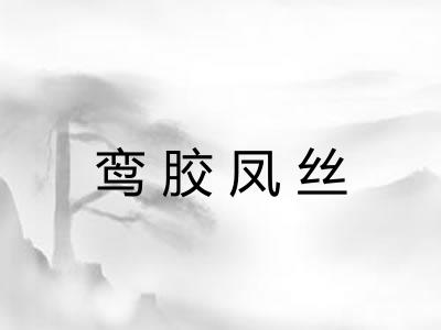 鸾胶凤丝