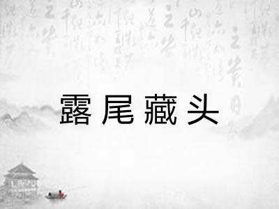 露尾藏头 露尾藏头