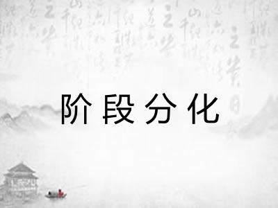阶段分化 阶段分化