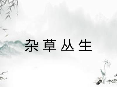 杂草丛生 杂草丛生