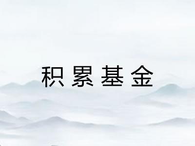 积累基金 积累基金