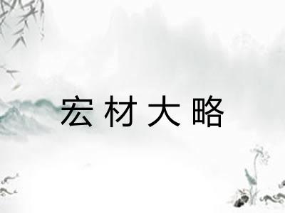宏材大略