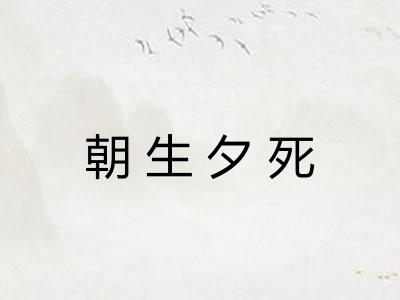 朝生夕死 朝生夕死