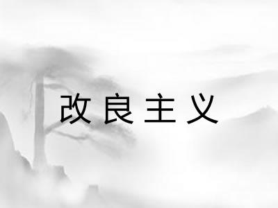 改良主义 改良主义