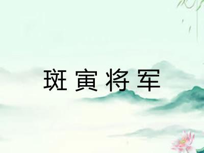 斑寅将军 斑寅将军
