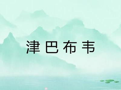 津巴布韦