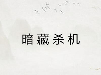暗藏杀机 暗藏杀机