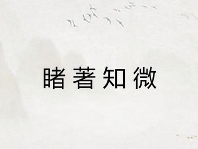 睹著知微 睹著知微