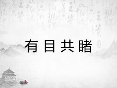 有目共睹 有目共睹