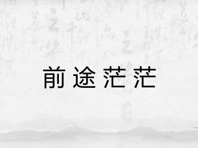 前途茫茫