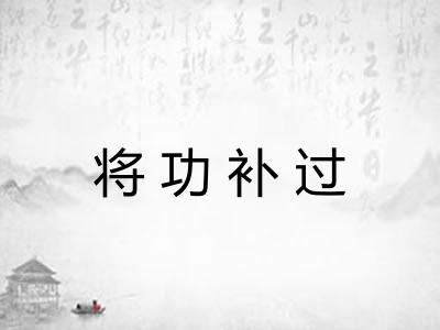 将功补过