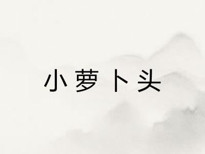 小萝卜头