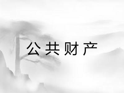 公共财产 公共财产