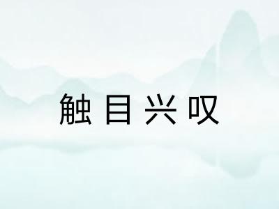 触目兴叹 触目兴叹