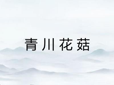 青川花菇 青川花菇