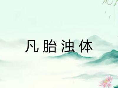 凡胎浊体 凡胎浊体