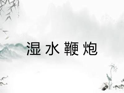 湿水鞭炮 湿水鞭炮
