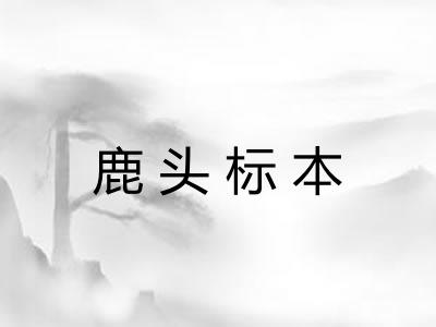 鹿头标本 鹿头标本