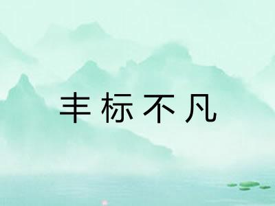 丰标不凡 丰标不凡