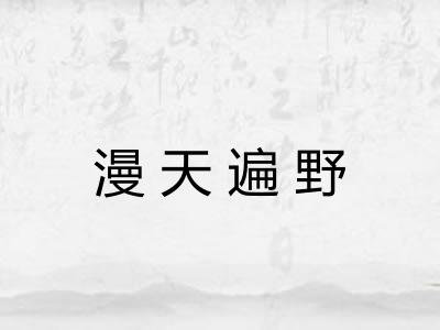 漫天遍野 漫天遍野
