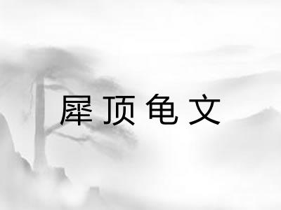犀顶龟文 犀顶龟文