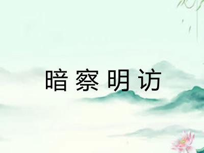 暗察明访 暗察明访