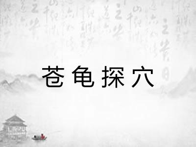 苍龟探穴