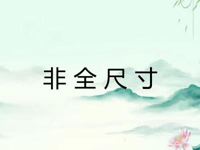 非全尺寸 非全尺寸