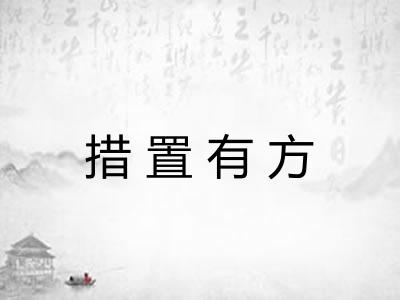 措置有方 措置有方