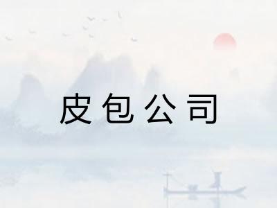 皮包公司 皮包公司