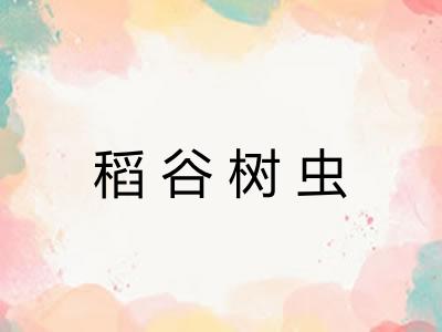 稻谷树虫 稻谷树虫