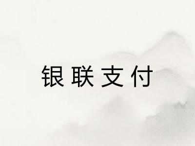 银联支付 银联支付