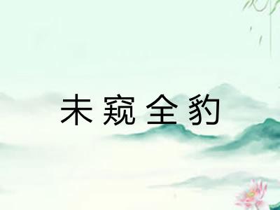 未窥全豹 未窥全豹