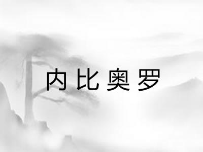 内比奥罗 内比奥罗