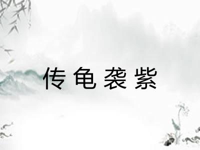 传龟袭紫 传龟袭紫